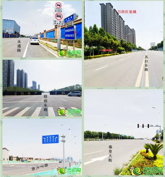 Ӯ���(�й���)�ٷ���վ���